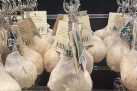 看到蛋蛋纪念品，才懂得澳洲公袋鼠的忧伤图片