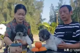 一家两人三狗狗、福特巡疆者车友真实用车分享！图片