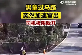 【#男童过马路突然窜出司机极限反应避开#，网友：经过路口要注意观察】图片