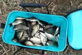 综合漂，底钓漂，行程漂的区别，野钓鲫鱼该用哪种浮漂图片