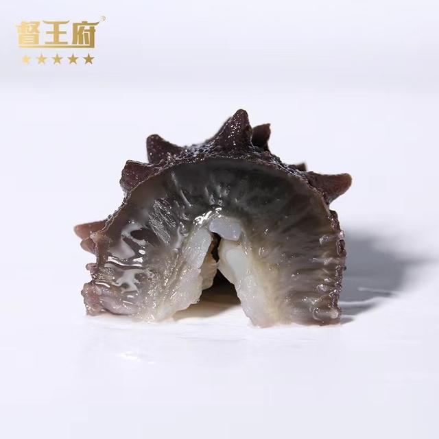 在什么地方能买到正宗的海参 2026年哪里可以买到正宗的海参