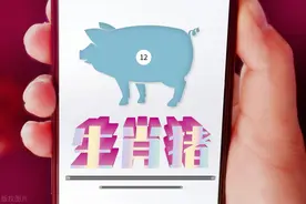 生肖属猪的你,前半生劳碌命！晚年苦尽甘来，开始享福。图片