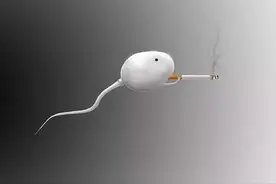 男人吸烟出生的孩子会怎样？图片