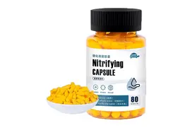 浅谈硝化细菌图片