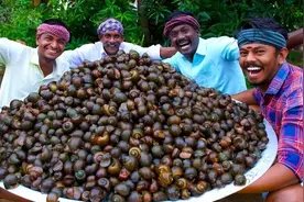 中国吃货都无能为力的福寿螺，为啥在印度成餐桌上的“香饽饽”？图片