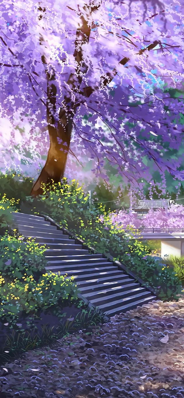 治愈系壁纸:使心情变好的美