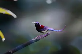 “目光短浅，一看便知”：目光短浅的人，往往有5个特征，要远离图片