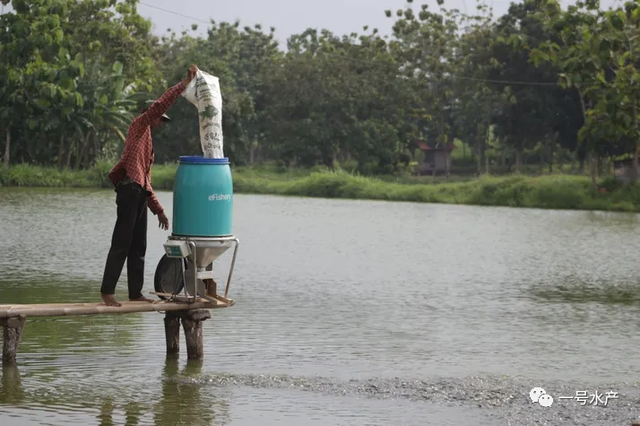 专家透露：虾的饲料和遗传学，将成为养虾成本的关键