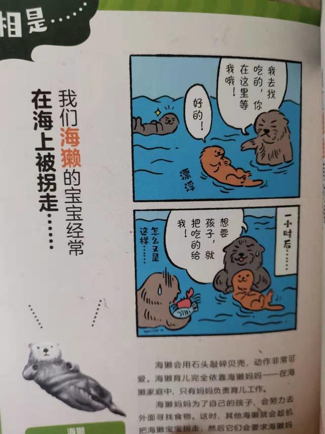 你不知道的动物的秘密,一本好笑又真实的生物图鉴