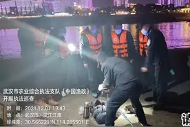 锚鱼入刑第一天，4人被抓2人面临刑事处罚，10种渔具不要使用图片