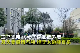 回顾：宝妈带着两幼子从24楼坠下, 遗言"想离开家，又离不开孩子"图片