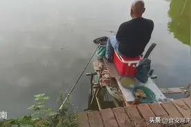 秋季战黑坑咋选钓位，看看钓友高高的钓台上挥杆上鱼就明白了图片