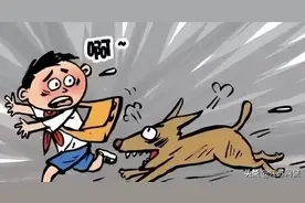 江苏苏州：遛狗不牵绳，危险！图片