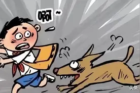 江苏苏州：遛狗不牵绳，危险！图片