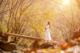 七夕：七首最深情的诗词，送给最爱的人图片