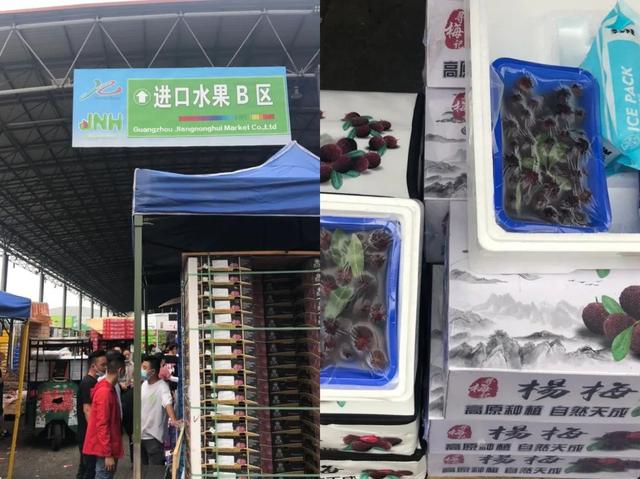 花胶响螺片海龙煲汤的做法大全 花胶响螺汤的功效