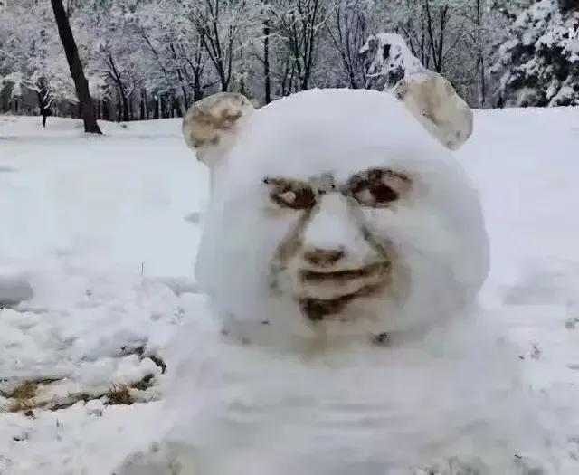 大郑州堆雪人内卷严重，哪个是金奖？全河南的雪人都在这里了