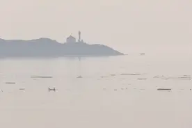 野火浓烟将笼罩大温 这些危害别忽视 加拿大青少年电子烟使用率最高图片