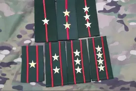 退役徽章欣赏（八七式武警警官套式警衔）图片