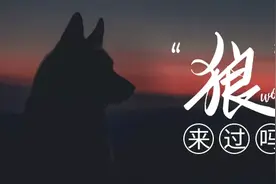入世20年看外资保险①：市场份额不足10%，是不为，还是不能？图片