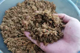 钓草鱼就用这3种添加剂，天气越闷热越有效，赶快去试试吧图片