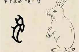 卯兔年再说兔图片