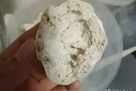 纯天然酵母粉的制作方法，一包玉米面能做出一年的老面馒头，巴适图片