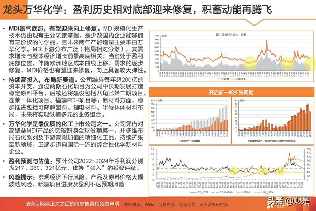 基础化工行业2022年中期策略：守正待时，掘金优质成长