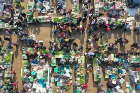 山东日照 赶集时间表图片