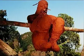 食人族电影 TOP10图片