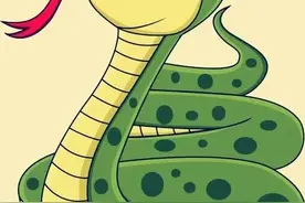 蛇的寿命有多长，啥原因要脱皮，养蛇人告诉你图片