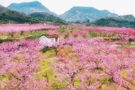 我发现了头条的流量密码，总结了6个很实用小技巧！（最新干货）图片