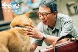 太感人！冯小刚电影《忠犬八公》好催泪，很多人在影院低头哭泣图片