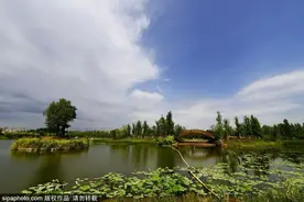 赏景不必远行，周末到北京温榆河公园开启度假模式！图片