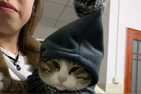 说一下，我被宠物医院坑的那几天图片