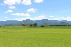 2021年广东省重点农业龙头企业名单公布图片