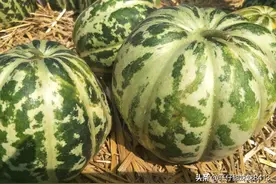 即将消失的11种水果，80年代很受欢迎现在却无人问津，你知道几种图片