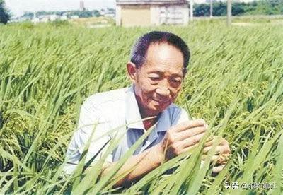公民、群众、无党派人士:是“三胞胎”还是“远房亲戚”？
