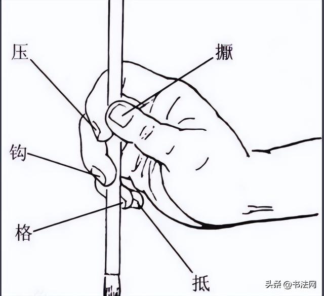 拿毛笔的正确手法（毛笔有12种执笔方法）