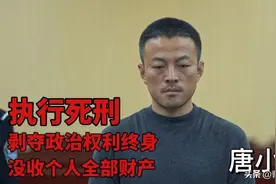 《狂飙》深度解析，强盛集团那么大了，唐家兄弟还要做违法勾当?图片