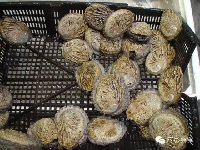 花胶选几级的 花胶等级顺序鱼胶排名大全