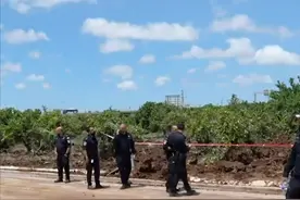 军事专家：胡塞武装击中以色列机场暴露以防空漏洞图片