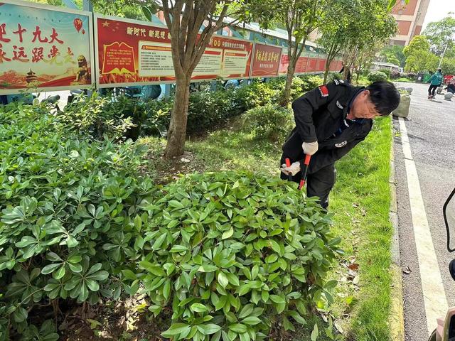 东湖新技术开发区豹澥街分类专班黄金堂社区开展清洁家园活动