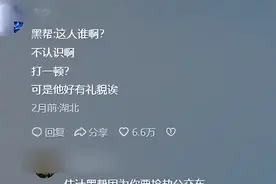 原来外国人眼中的中国人因为被保护的太好，所以变得有些愚蠢！图片