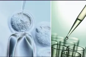 羊胎素为啥被称为“智商税”？到底该怎样正确抗衰？带你了解图片