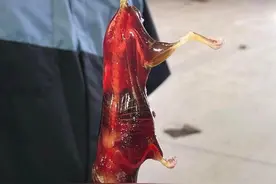 31张残酷生物图：老鼠掉入脱脂剂全身透明，斑马被活吃痛苦而漫长图片