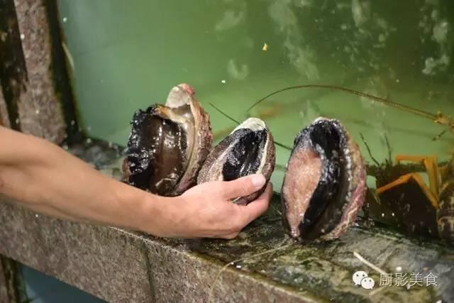 什么海鲜胶原蛋白最多 2025年海鲜含有胶原蛋白吗