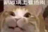 “早八网友发疯文学吐槽2.0！”哈哈哈有点像我精神状态了...图片