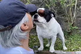 60岁周星驰罕晒近照！与爱犬合影互动不断，隔空嘟嘴献吻显宠溺图片