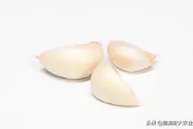 国际粮价上涨，大蒜价格却持续下跌，同属农产品，为啥差别这么大图片